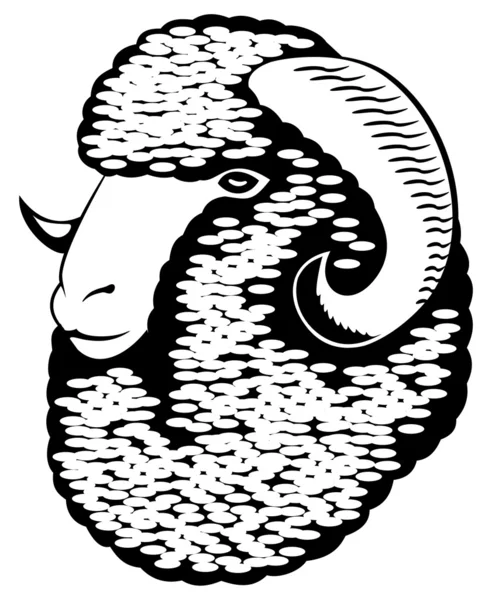 Retrato de una oveja merino . — Vector de stock