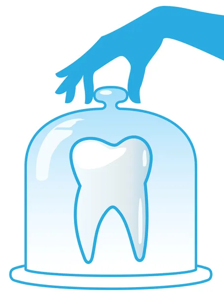Een Gezonde Tand Wordt Beschermd Door Een Glazen Koepel Tandheelkunde — Stockvector