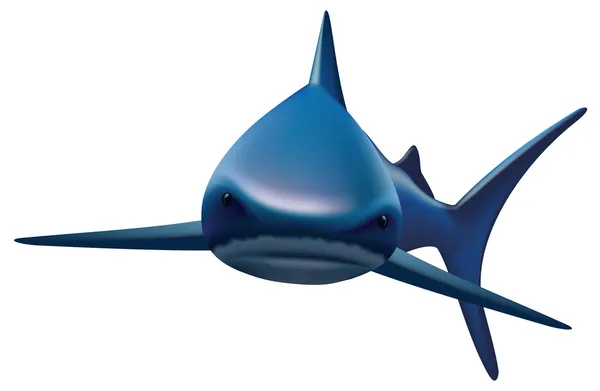 サメ。白い背景の上のベクトル図. — ストックベクタ