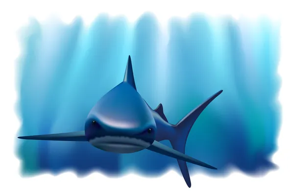 Retrato de un tiburón en el océano . — Vector de stock