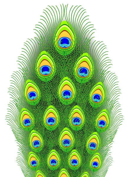 Des plumes de paon. Illustration vectorielle . — Image vectorielle