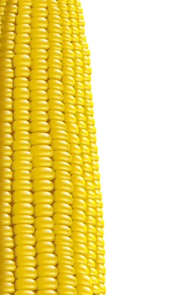 Rijp maïs. fragment. vector illustratie macro. — Stockvector