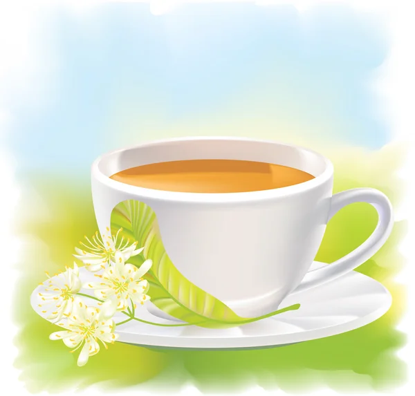 Kwiaty lipy i filiżankę herbaty. Ilustracja wektorowa. — Wektor stockowy