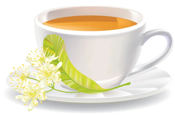 Linden blommor och en kopp te. vektor illustration. — Stock vektor