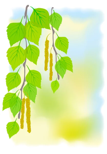 Fondo soleado de primavera con ramas de abedul . — Archivo Imágenes Vectoriales