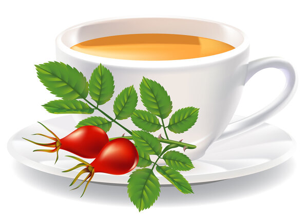 A cup of tea and a branch of wild rose. Vector illustration.