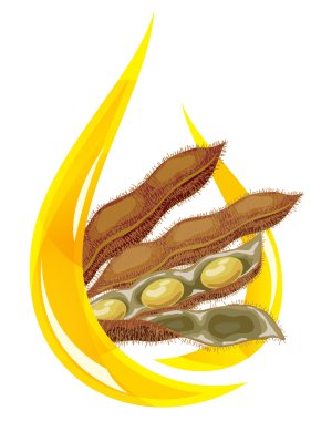 soya yağı. stilize damla yağ ve soya pod.