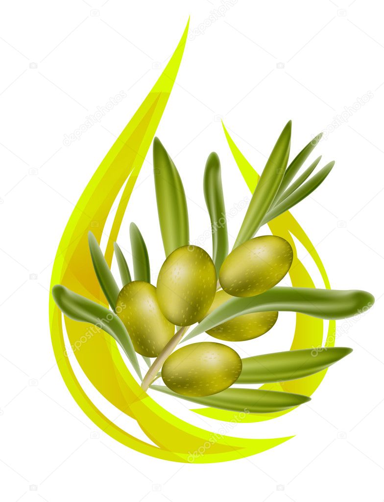 Olive oil. Stylized drop of oil, and olive branch inside. Vector