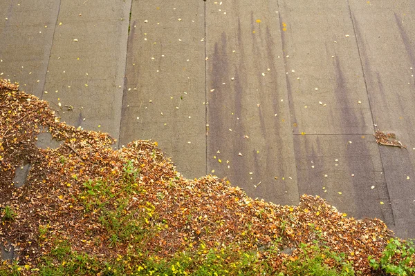 stock image Decaying fall-colored leaves on tar paper roof show a descending graph of decline.