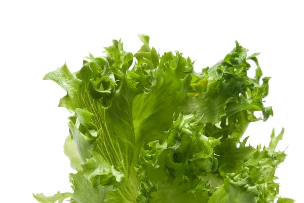 Groene Salade — Stockfoto
