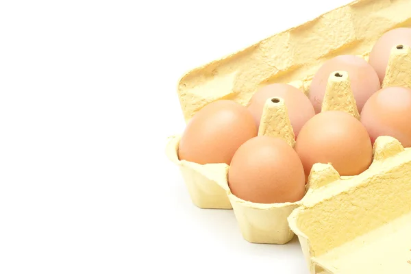 Huevos en la caja — Foto de Stock