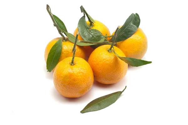 stock image Heap of mandarins