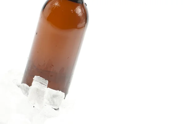 Beer bottle in ice — Stock Photo, Image