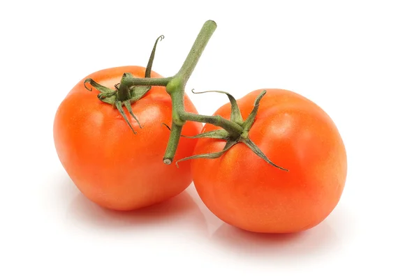 Dois Tomates — Fotografia de Stock