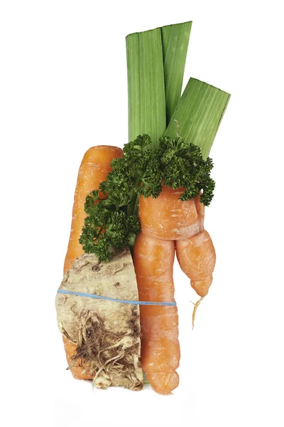 Čerstvé Zeleninové Přísady Pro Polévku Izolovaných Bílém Pozadí — Stock fotografie