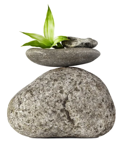 Збалансований каменів — стокове фото