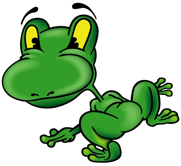 Frog Back Colored Cartoon Illustration Vector — Stock Vector