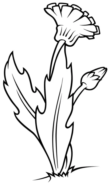 Dandelion Desenhos Animados Preto Branco Ilustração Vetor — Vetor de Stock