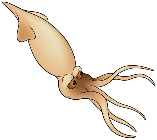 Cuttlefish Colored Cartoon Illustration Vector — Stock Vector
