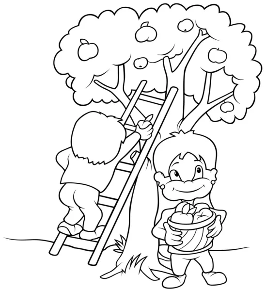 子供たちの収穫果実 黒と白の漫画イラスト ベクトル — ストックベクタ