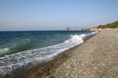 vahşi beach.