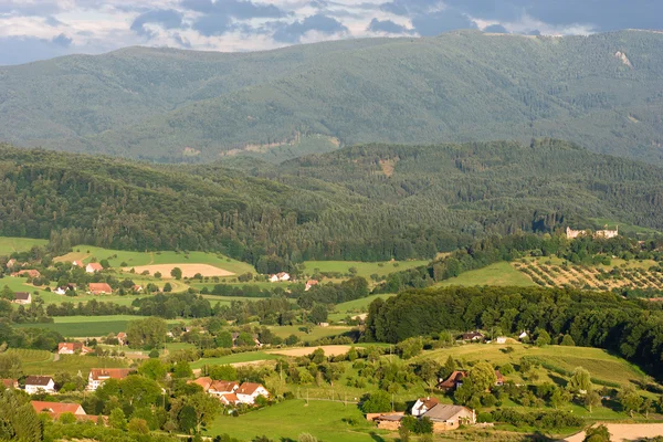 Schwarzwald bei freiburg — Stockfoto