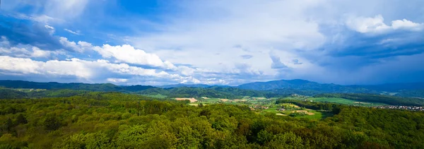 Schwarzwald bei freiburg — Stockfoto