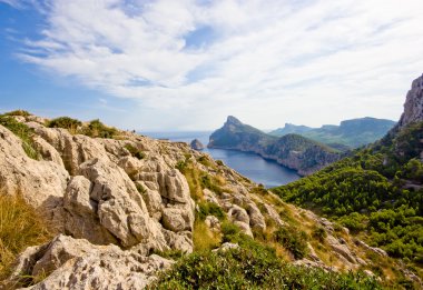 Majorca üzerinde kap