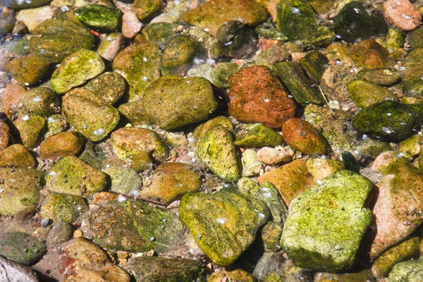 Stones unter water in a river — Stok fotoğraf