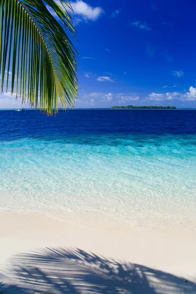 Paraíso tropical en Maldivas —  Fotos de Stock