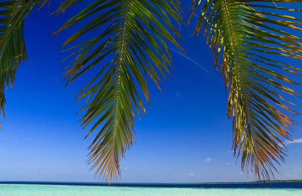 Tropisch paradijs op de Malediven — Stockfoto