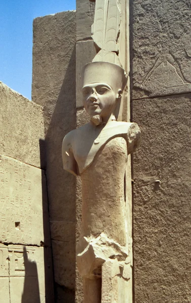 Pharaon — Stok fotoğraf