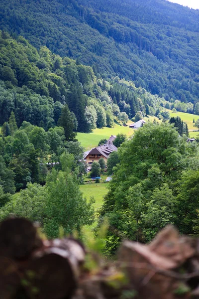 stock image Summer Landscape