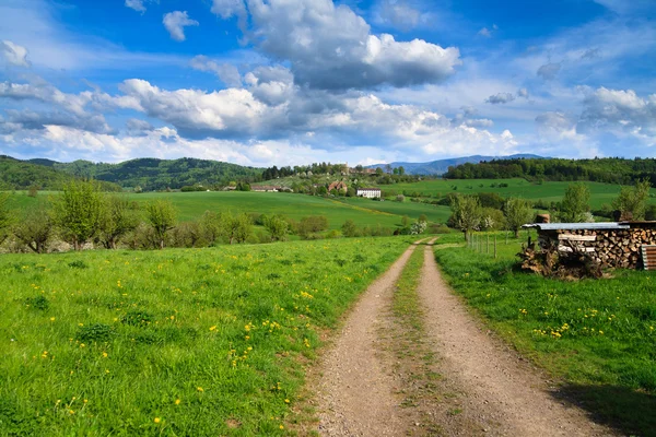 Jarní krajina - zelená pole, modrá obloha — Stock fotografie