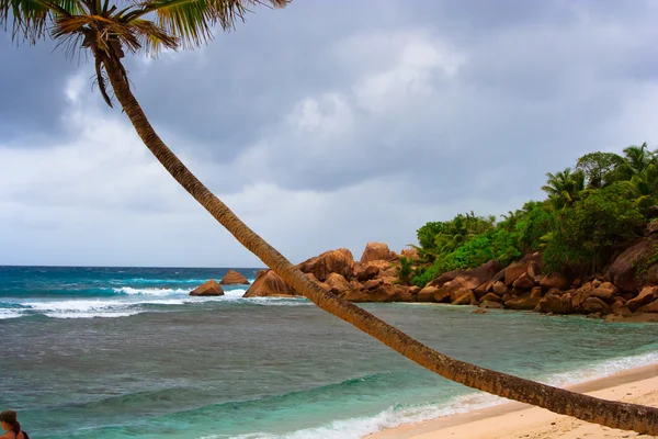 Het strand — Stockfoto