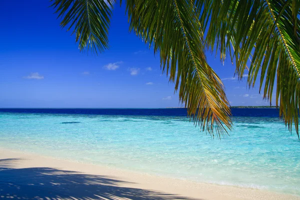 Paradiso tropicale alle Maldive — Foto Stock