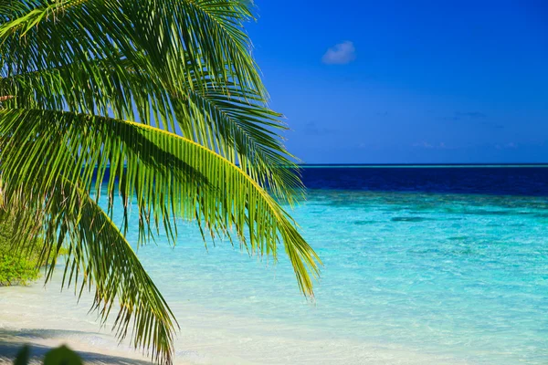 Tropiskt paradis på Maldiverna — Stockfoto