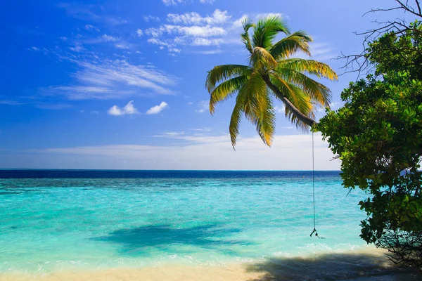 Tropical Paradise di Maladewa — Stok Foto