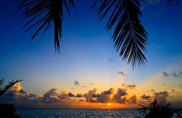 Мальдівських захід сонця — стокове фото
