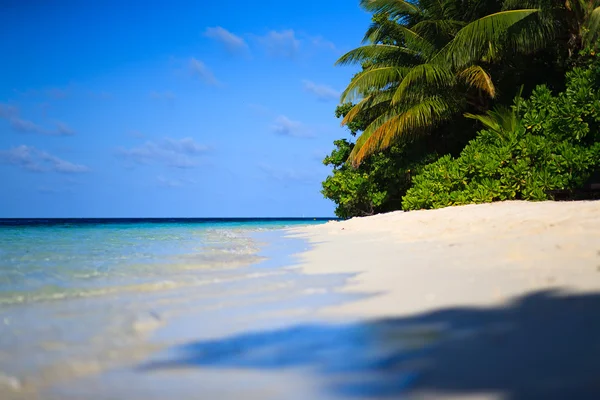 Τροπικός παράδεισος στις Μαλδίβες — Φωτογραφία Αρχείου