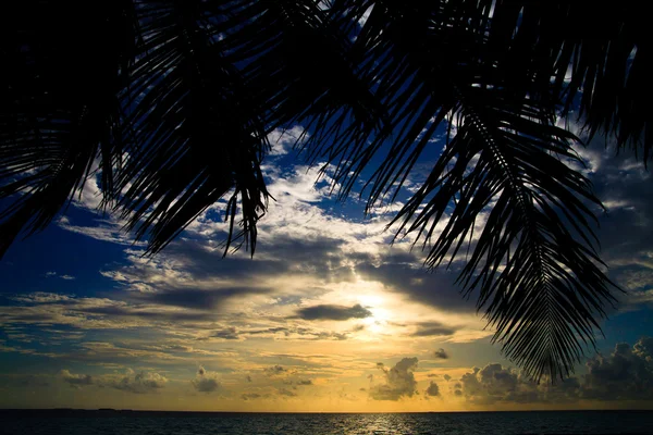 Maldív-szigeteki naplemente — Stock Fotó