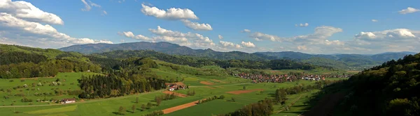 Schwarzwald — Stockfoto