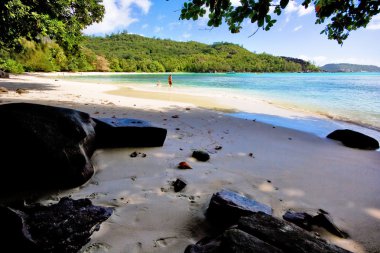 Beautiful beach on seychelles clipart