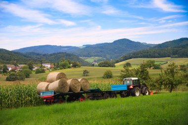 Farming a Corn Field clipart