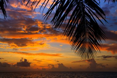 Maldivian Sunset clipart