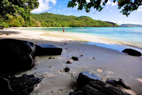Bella spiaggia sulle Seychelles — Foto Stock