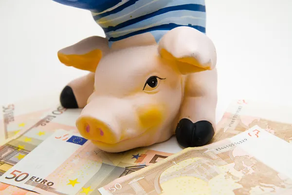 Счастливая свинья на белом фоне, как деньги  :) — стоковое фото