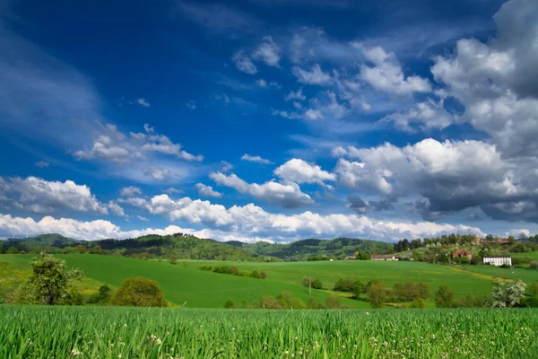 Spring landscape - green fields, the blue sky — Stock Photo, Image