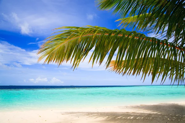Tropikalny raj w Malediwy — Zdjęcie stockowe