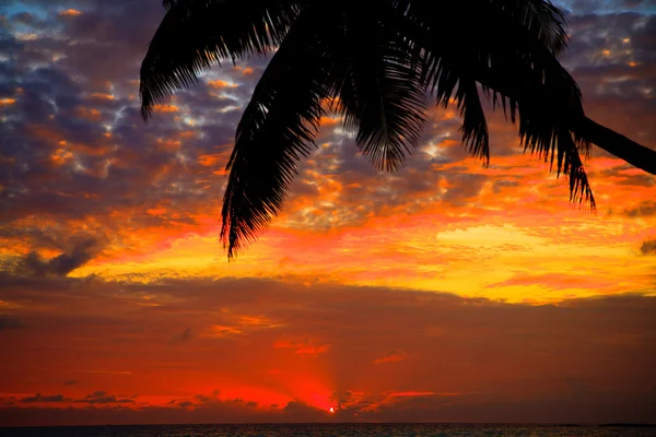 Maldivian Sunset — Stock Photo, Image
